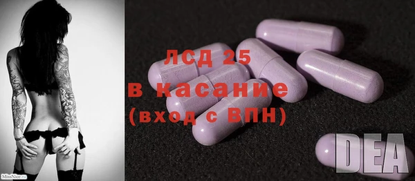 прущие грибы Абдулино
