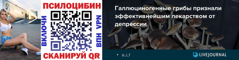 Галлюциногенные грибы Psilocybe  Мышкин 