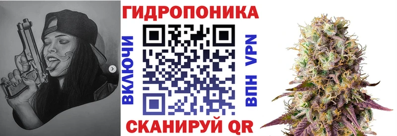 Шишки марихуана AK-47  закладка  Мышкин 